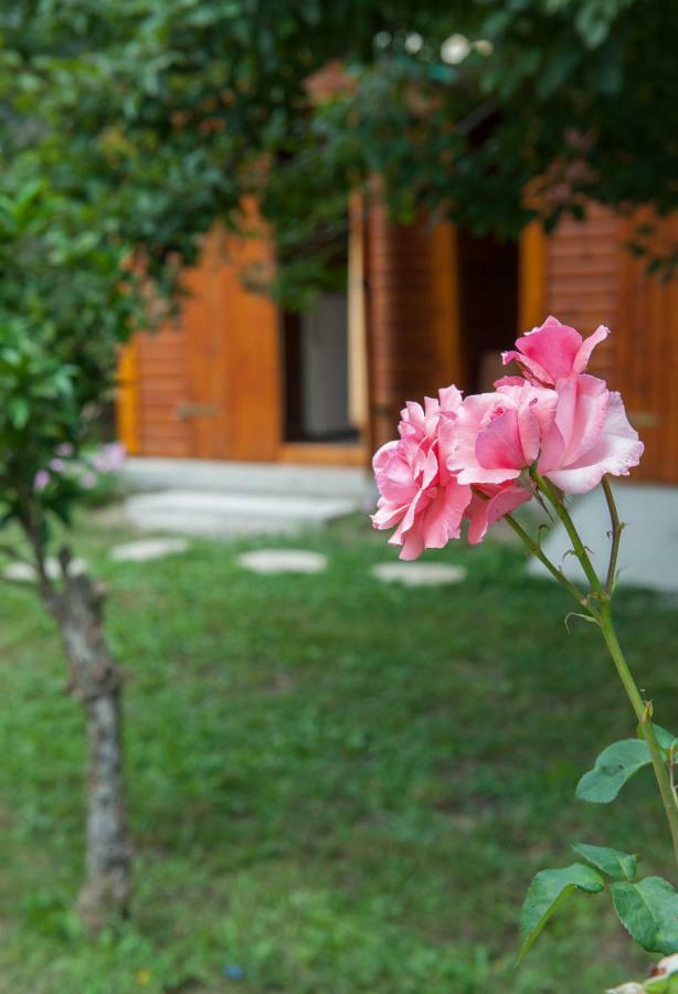 Family Holiday Apartment With Garden & Bbq Velonádes Exterior foto